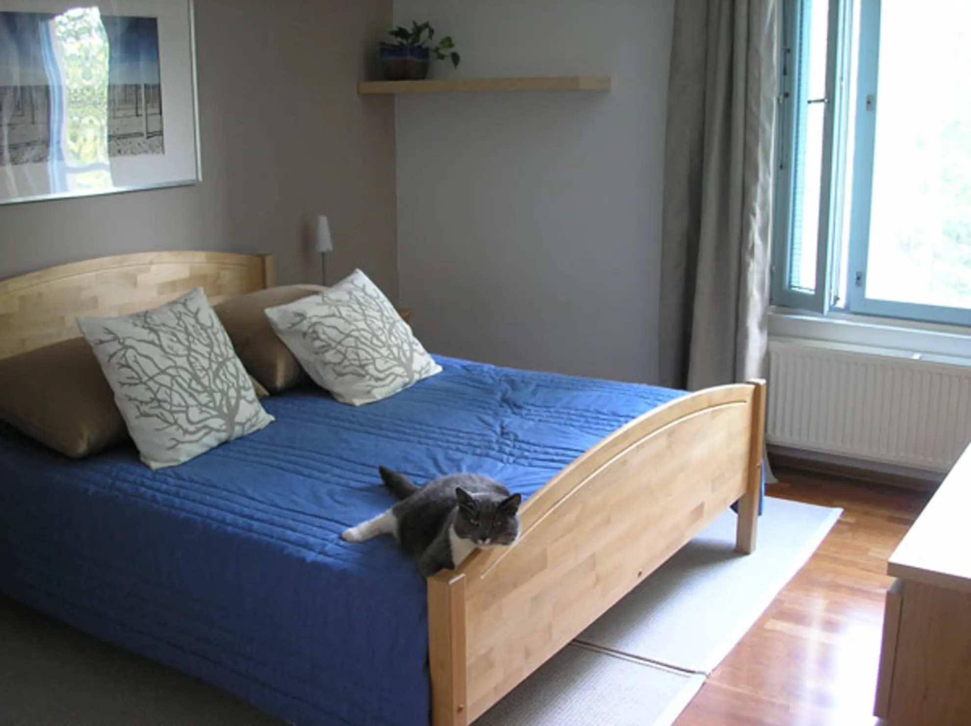 Furnished apartment in Helsinki  — photo 1