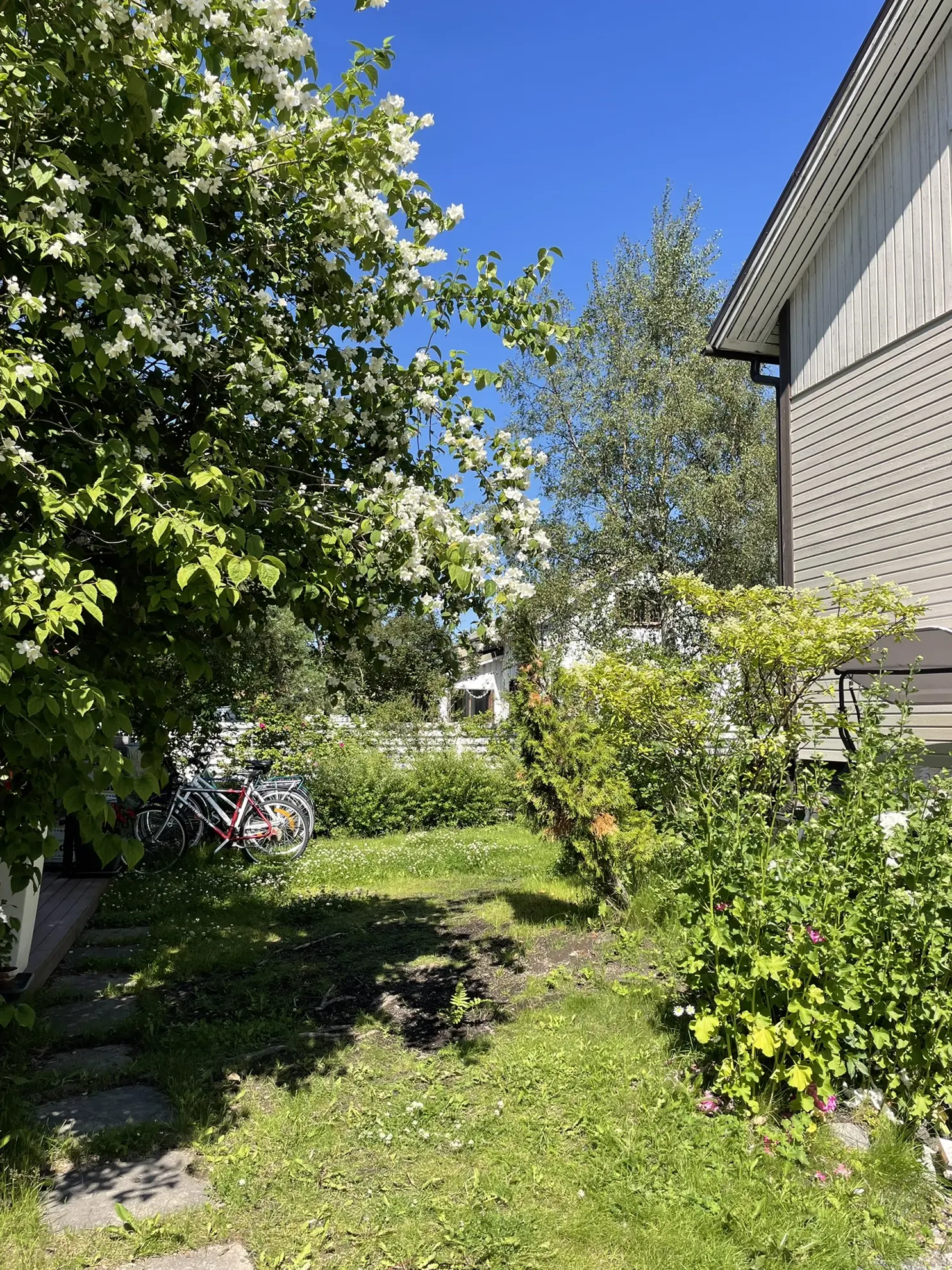 Furnished apartment in Helsinki — photo 17