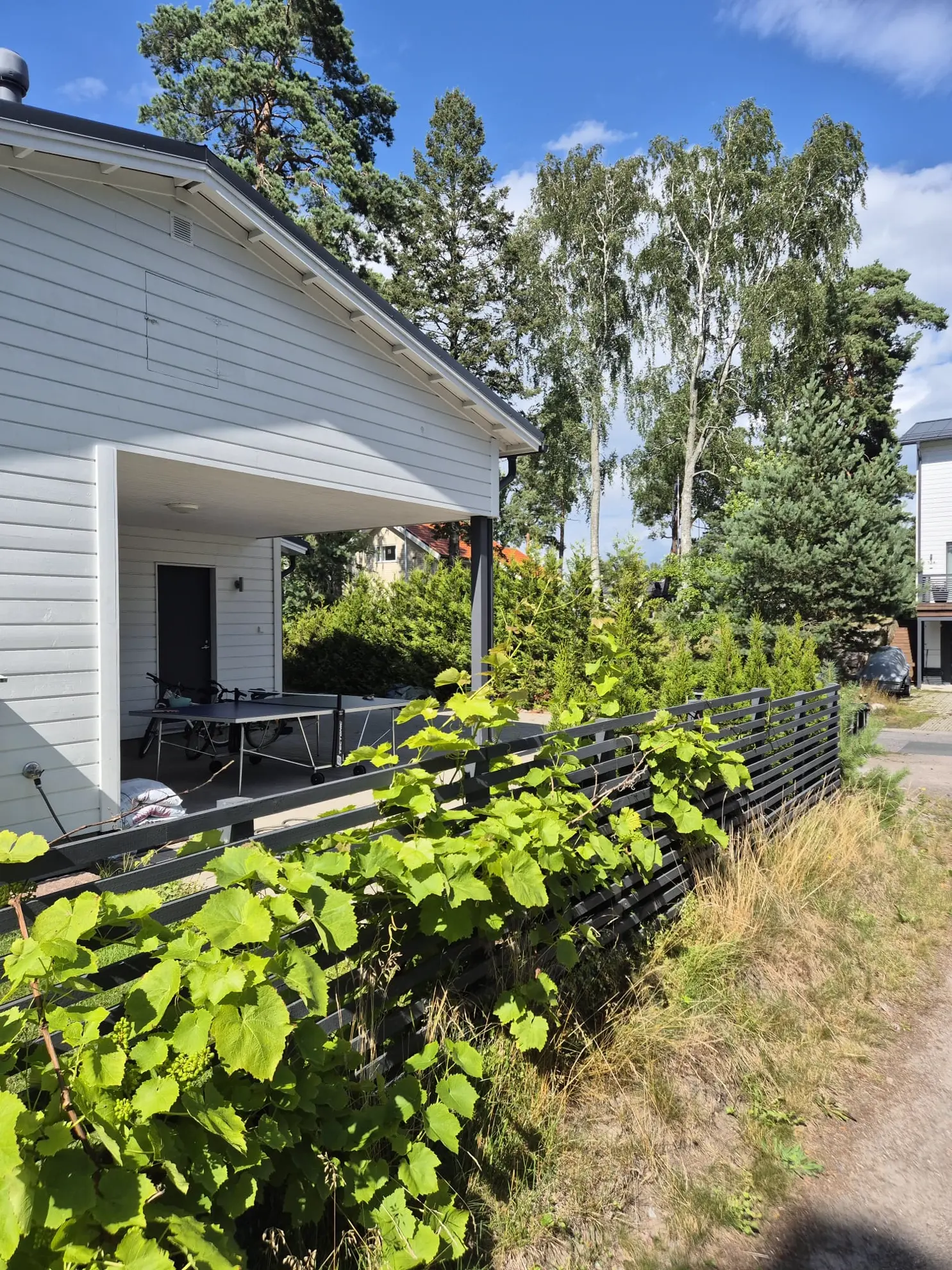 Furnished apartment in Helsinki — photo 17