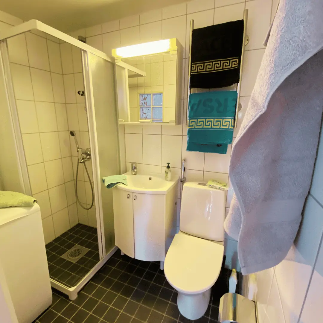 Furnished apartment in Helsinki — photo 5