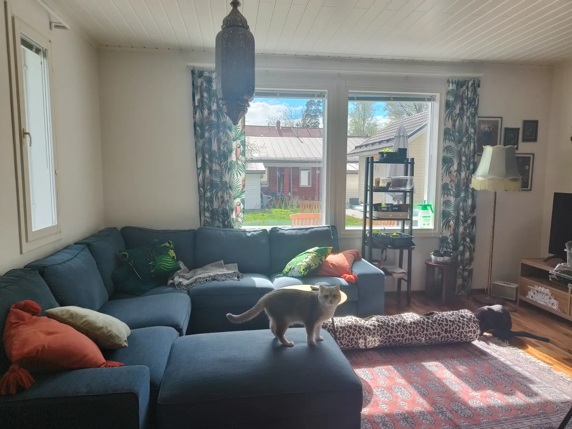 Furnished apartment in Helsinki  — photo 1