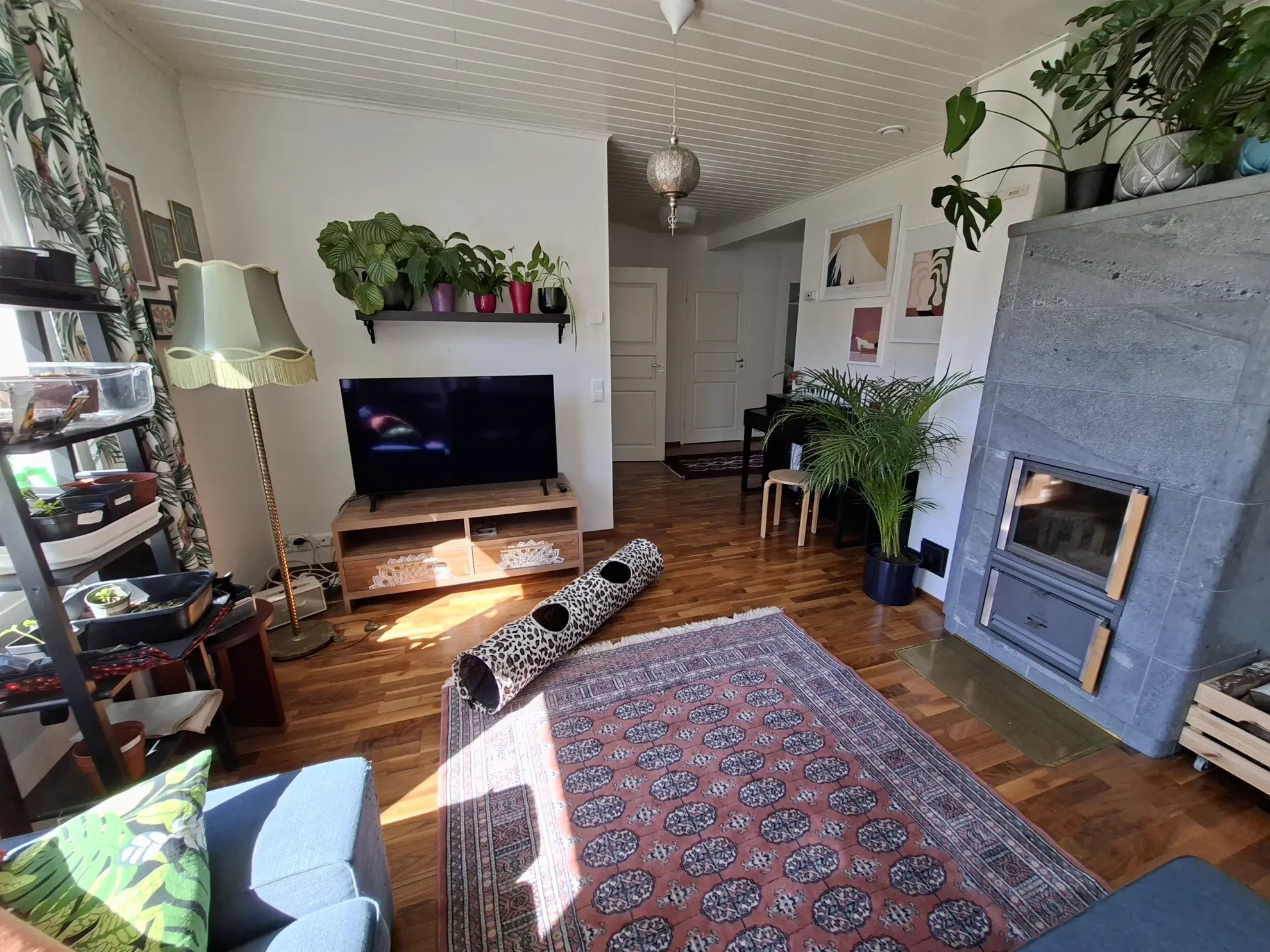 Furnished apartment in Helsinki  — photo 4