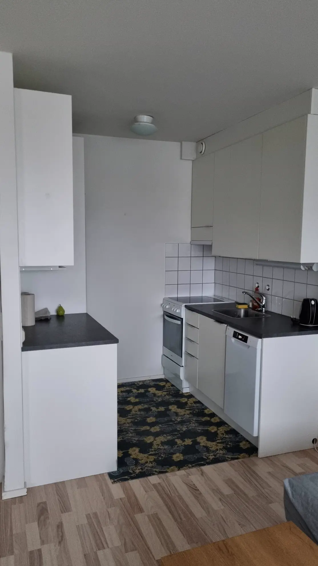 Furnished apartment in Helsinki — photo 4