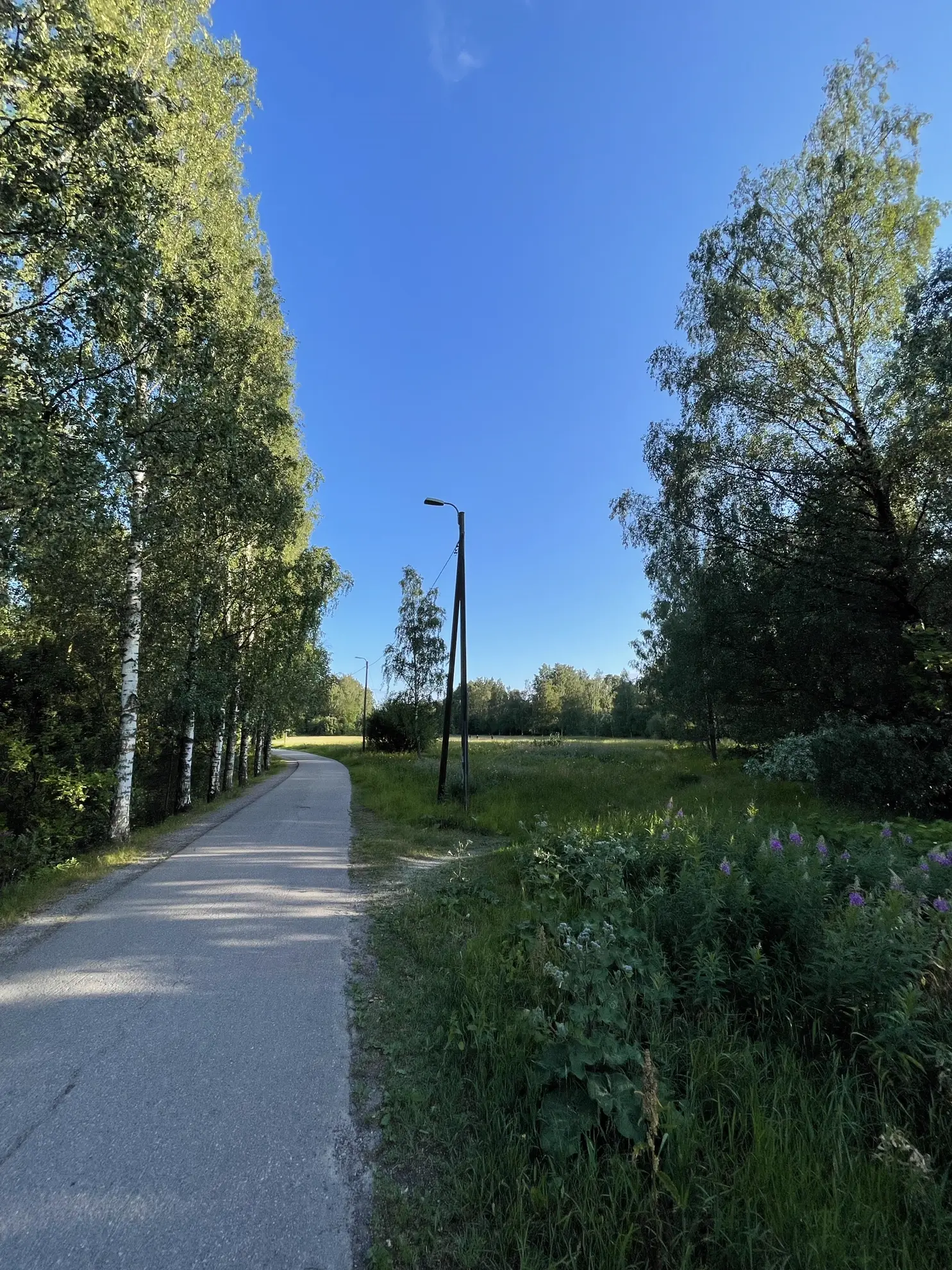 Furnished apartment in HELSINKI — photo 11