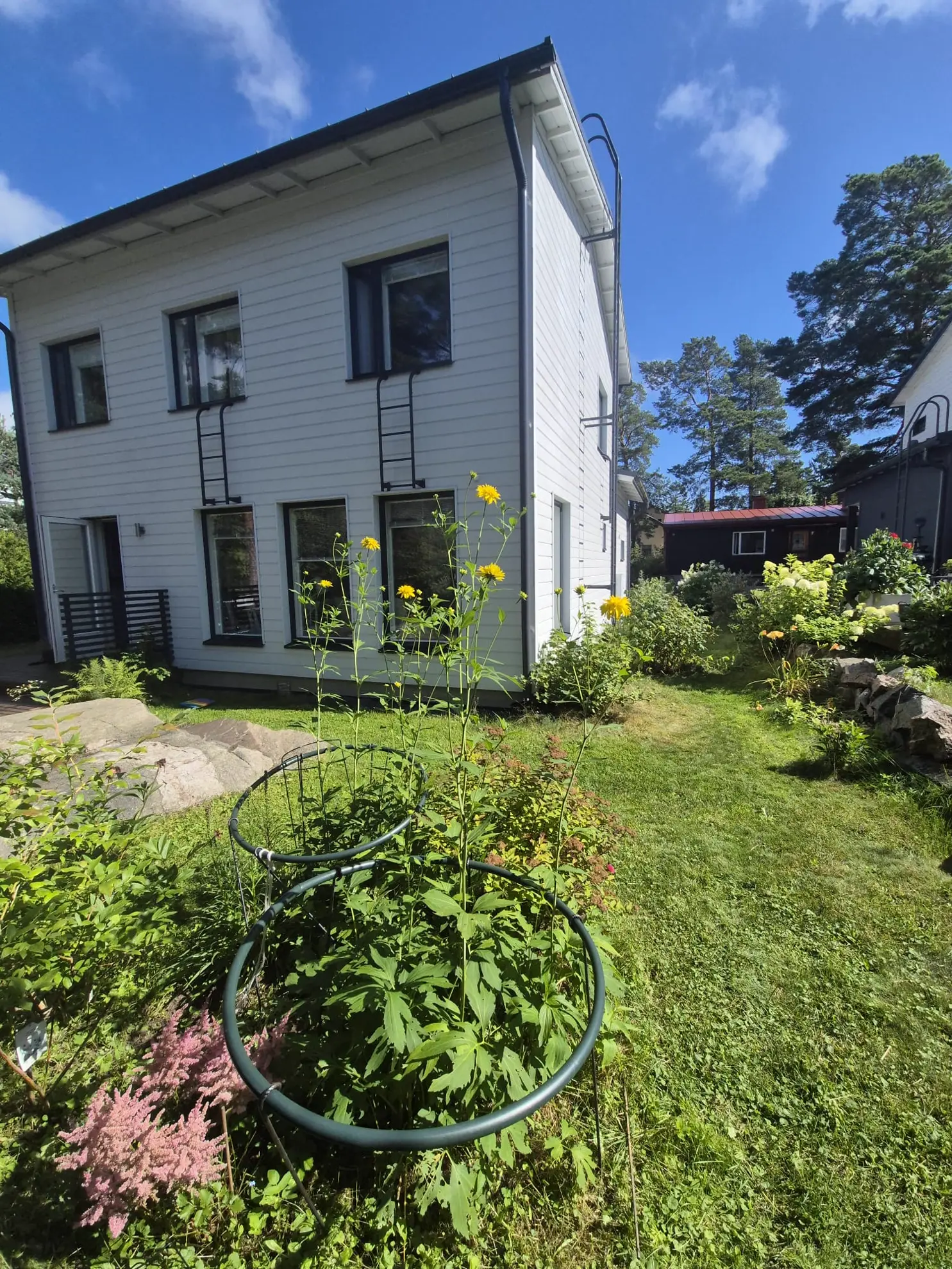 Furnished apartment in Helsinki — photo 1