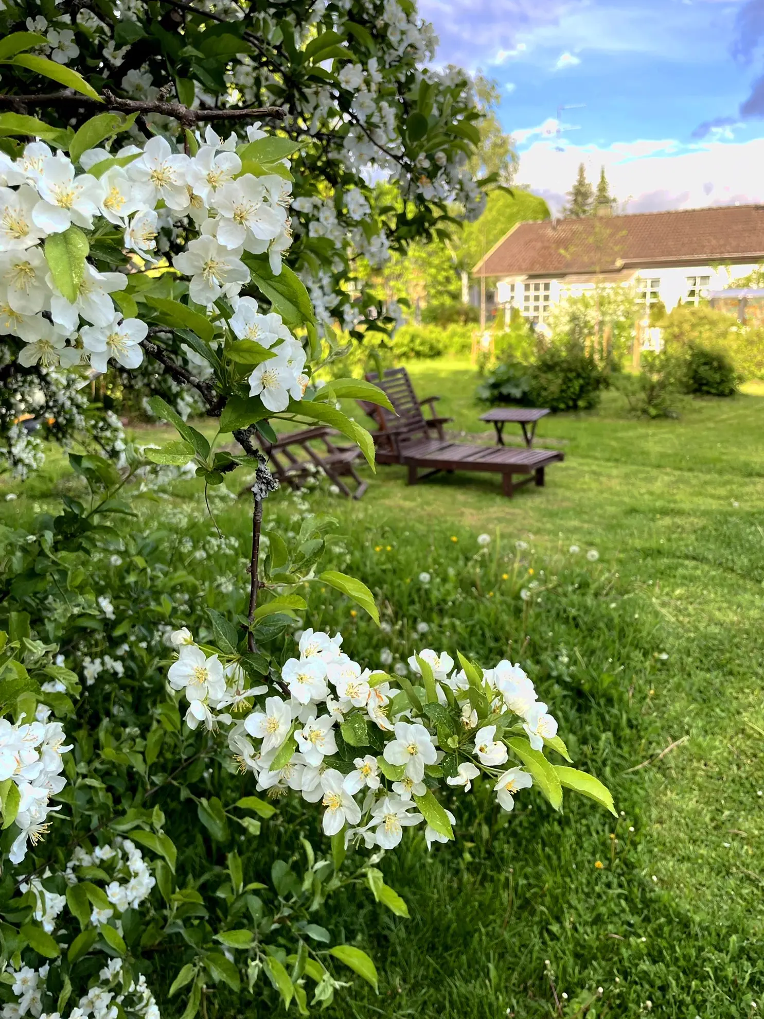 Furnished apartment in Helsinki — photo 19