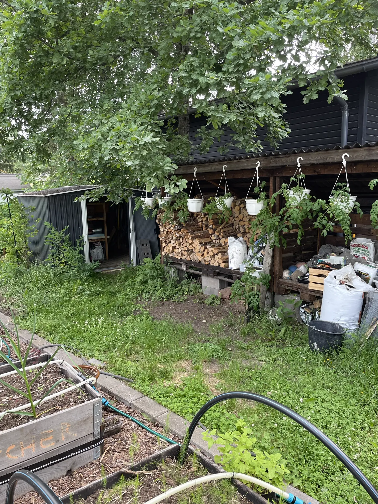 Furnished apartment in Helsinki — photo 16