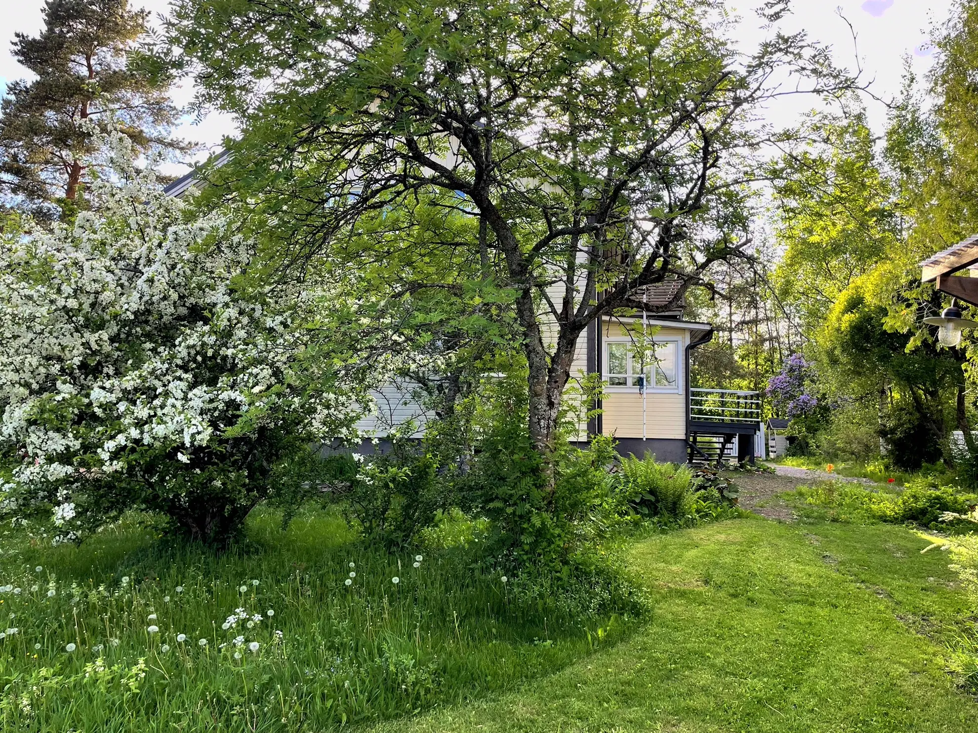 Furnished apartment in Helsinki — photo 20